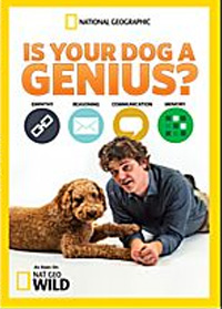 Is your dog a Genius?